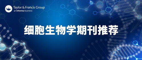 前沿探索 T細胞生物學領域三大期刊聯合征稿開啟學術新篇章